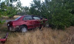 Aşık Veysel'in kızı trafik kazası trafik kazası geçirdi!