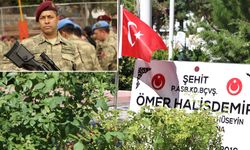 Zekai Aksakallı: Bu ülkede Ömer Halis Demir'ler bitmez