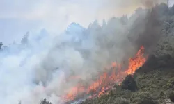 Afyonkarahisar'da ormanlık alanda yangın