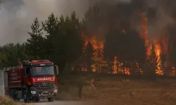 Alevlerle mücadele sürüyor! Ankara'daki Yangın Bolu'ya sıçradı