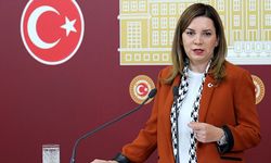 Arzu Erdem MHP'den istifa etti! Üç dönem milletvekili seçilmişti