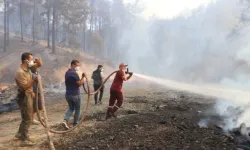 Aydın-Muğla kara yolu yeninden trafiğe açıldı