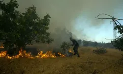 Aydın'da çıkan yangına müdahale ediliyor