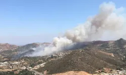 Aydın’da orman yangını çıktı