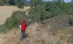 Balıkesir'de kestiği ağacın altında kalan kişi öldü