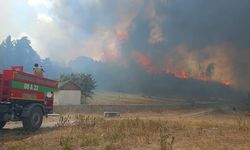 Ankara-Bolu sınırında orman yangını: Alevler her yeri sardı, tahliyeler başladı