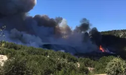 Bolu'da ormanlık alanda çıkan yangına müdahale ediliyor