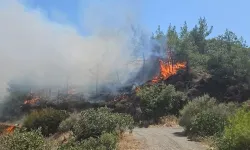 Hatay'da çıkan orman yangınına müdahale ediliyor