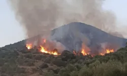 İzmir'deki orman yangınlarına ilişkin 6 kişi tutuklandı