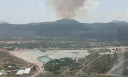 İzmir'in Menderes ilçesinde orman yangını