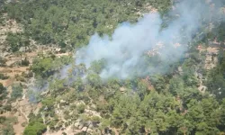 Muğla'da çıkan orman yangını söndürüldü