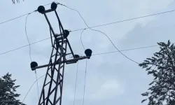 Şanlıurfa'da elektrik akımına kapılan kişi öldü