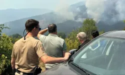 Vali Yavuz, yangın çıkan bölgeyi inceledi