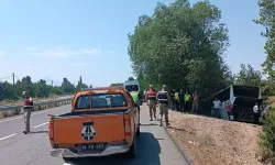 Yoldan çıkan yolcu otobüsü ağaca çarptı