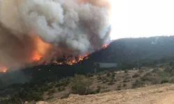 Bolu'da orman yangını!