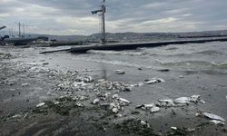 Körfez'de çevre felaketi... Bakanlık İzmir için tarih verdi