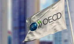 OECD'nin Türkiye için enflasyon ve büyüme tahmini