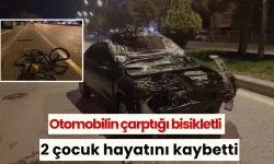 Otomobilin çarptığı 2 çocuk hayatını kaybetti!