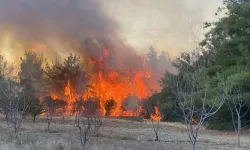 Çanakkale'deki orman yangını kontrol altında