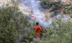 Gaziantep'te ormanlık alanda yangın