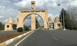 Harran Üniversitesi'nde fuhuş skandalı!