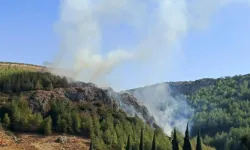 Hatay’ın Antakya ilçesinde orman yangını!