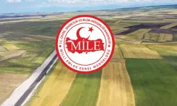 Milli Emlak'tan dar gelirliye müjde! Ucuza arsa, tarla ve arazi satışları başladı