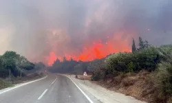 O ilde ormanlara giriş yasağı uzatıldı