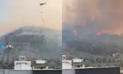 Hatay'da meydana gelen orman yangını büyüyor! Çevre illerden destek ekipleri istendi