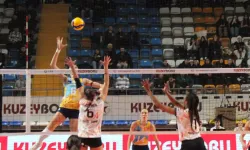 Kuzeyboru, Volley Mulhouse Alsace takımını 3-1 mağlup etti