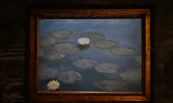 Monet’nin Nilüferler tablosu 65.5 milyon dolara satıldı!