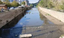 Tersakan Çayı'ndan gelen kötü koku vatandaşları isyan ettirdi!