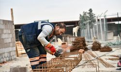 Sokak Hayvanları Bakımevi'nde iyileştirme!