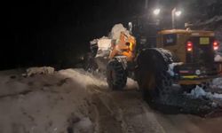 Ayder Yaylası'nda çığ düştü: Yol araç trafiğine kapandı!