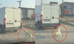 Balıkesir'de dehşete düşüren görüntüler! Köpeği araca iple bağlayıp çekti