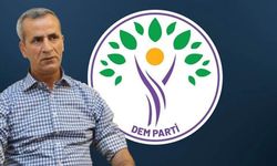 DEM Parti'de istifa krizi! Zeyni İpek görevinden ayrıldı