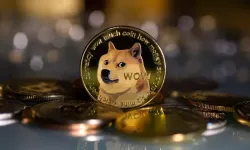 Dogecoin hala umut barındırıyor! Uzmanlar açıkladı