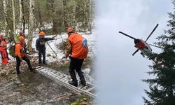 Canavar yakalamak için gittiler bir daha geri dönemediler