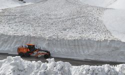 Van'da kar yağışı etkili oldu: Bahçesaray yolu ulaşıma kapandı