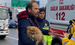 Kazada yaralanan sürücü köpeğini bir an olsun bırakmadı