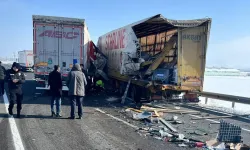 Erzurum'da 2 tırın karıştığı kaza: 1 sürücü öldü