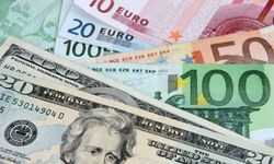 Dolar yükselirken euro ve sterlin yükselişe geçti!