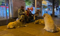 Görme engelli seyyar satıcının sokak hayvanlarına mama bırakması kamerada