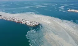 Marmara Denizi'ne kıyısı olan belediyelere müsilaj uyarısı