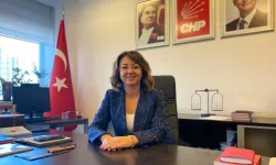 CHP’li Çiftçi’den Kurultay Soruşturmasına İlişkin Açıklama