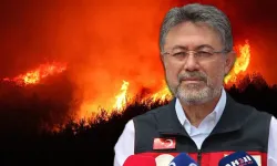Bakan Yumaklı, orman yangınlarına ilişkin açıklamalarda bulundu