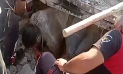 Şanlıurfa’da istinat duvarı çöktü; 4 işçi yaralandı