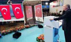 Cumhurbaşkanı Erdoğan çağrı yaptı! Türk bayrakları asılmaya başlandı