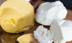 Yıllardır Yanlış Bildiğimiz Tereyağı Gerçeği