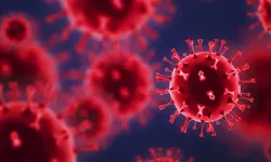 Bilim Dünyasında Çığır Açan Keşif: Prion Benzeri Hastalıklar